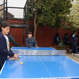 Día de la Actividad Física